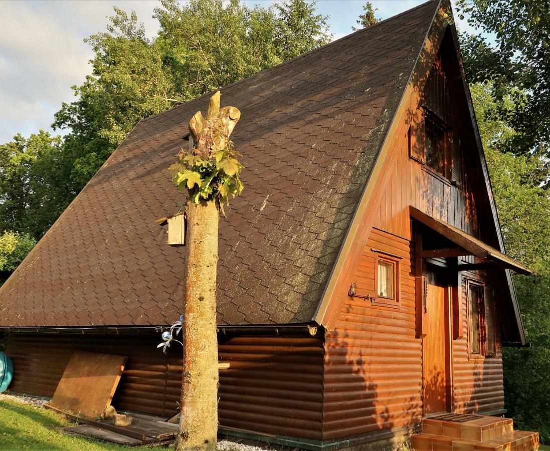 Ferienhaus Ederer Waldmünchen Eksteriør billede